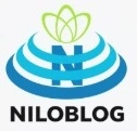 غواصی با دلفین کیش عکس